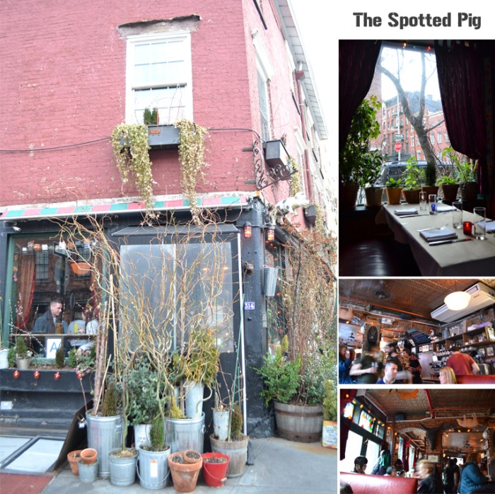 The spotted pig